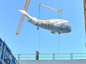 Wal im Anflug, 19. Juli 2022, Foto: Evi Scheller