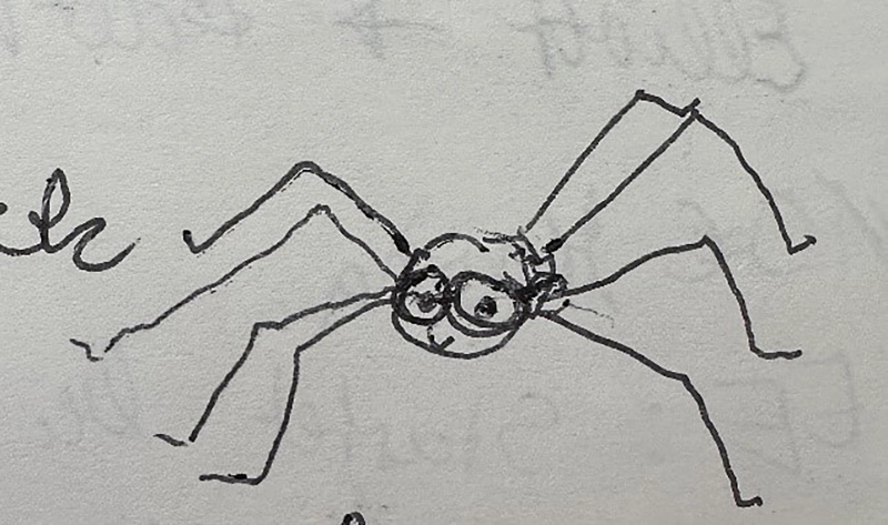 Von der Weberknecht-Idee…  