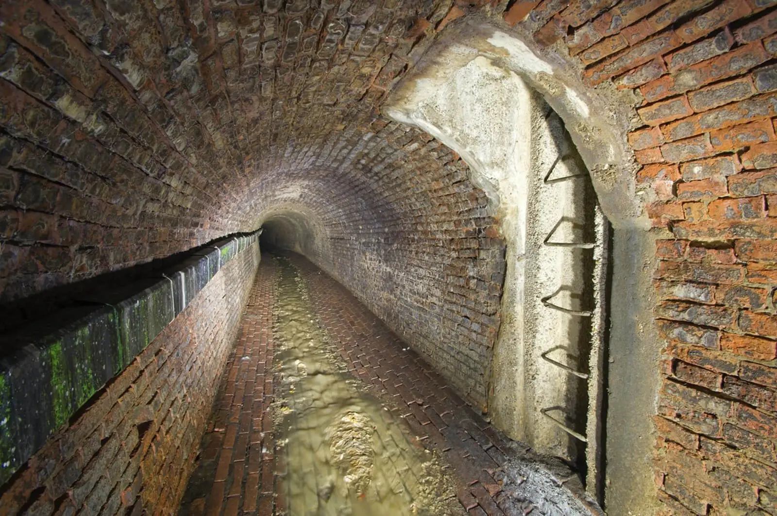 Foto: Thomas Keplinger  