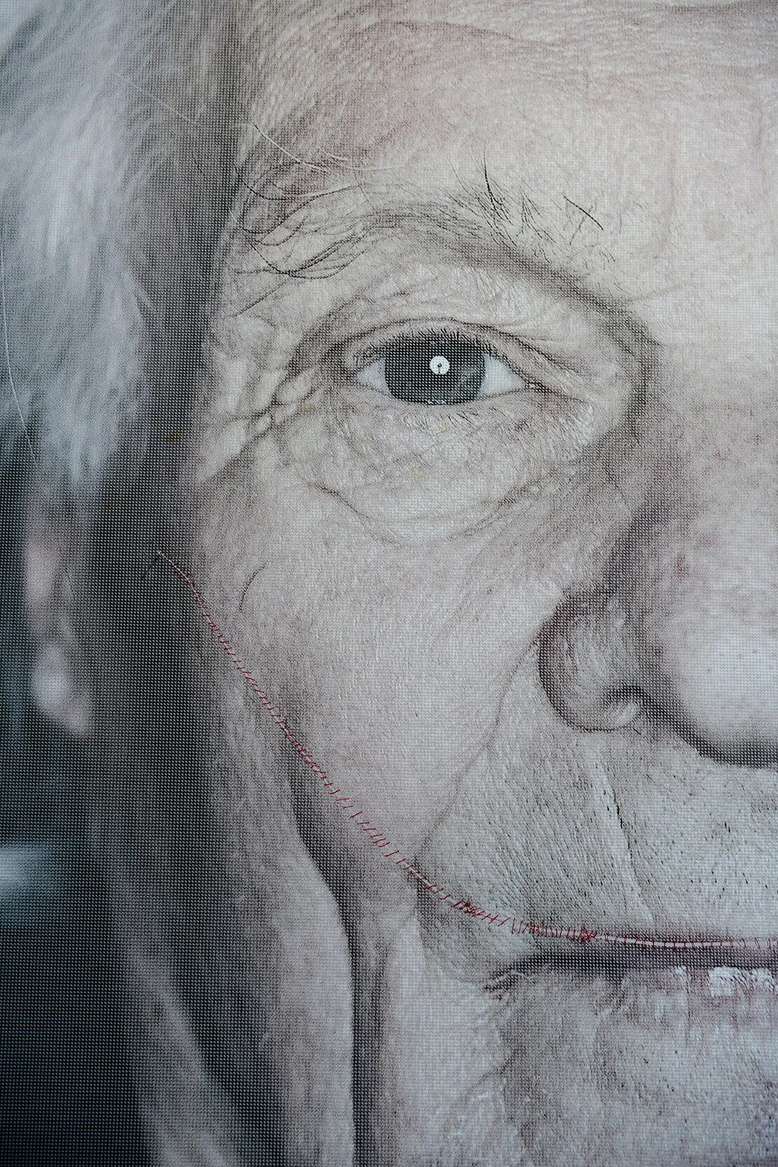 © Luigi Toscano/Repro:Heribert Corn  