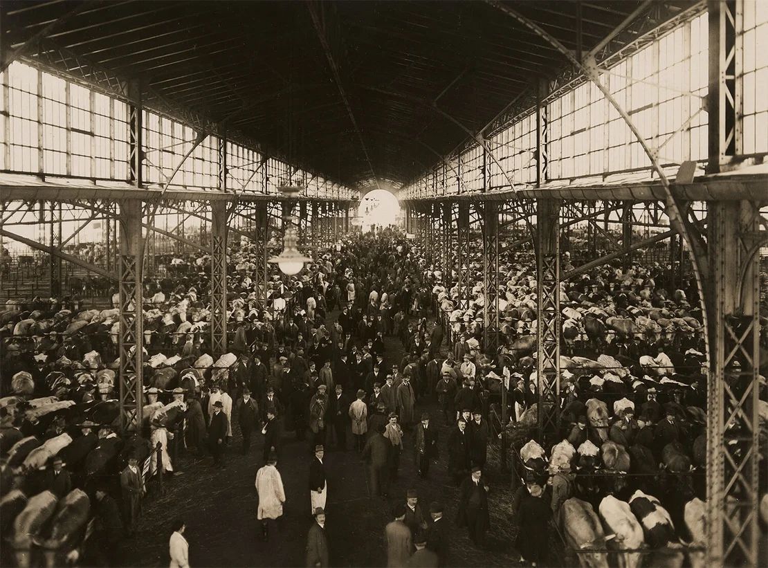 Martin Gerlach jun.: Innenansicht der Rinderhalle am Zentralviehmarkt St. Marx, um 1920, Wien Museum, Inv. Nr. 186821  