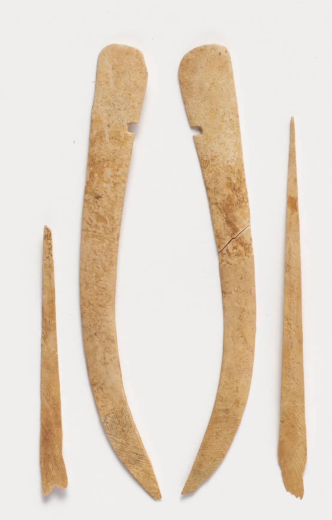 Endversteifung eines Reflexbogens, um 625–650, gefunden in einem awarenzeitlichem Gräberfeld in der Csokorgasse, Wien Museum  