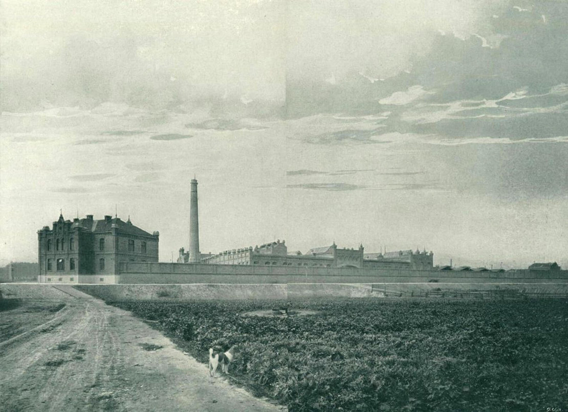 Das neu errichtete neue städtische Schweineschlachthaus an der Baumgasse, 1910. Quelle: Die Gemeindeverwaltung des Reichgaues Wien. Wien, 1910 