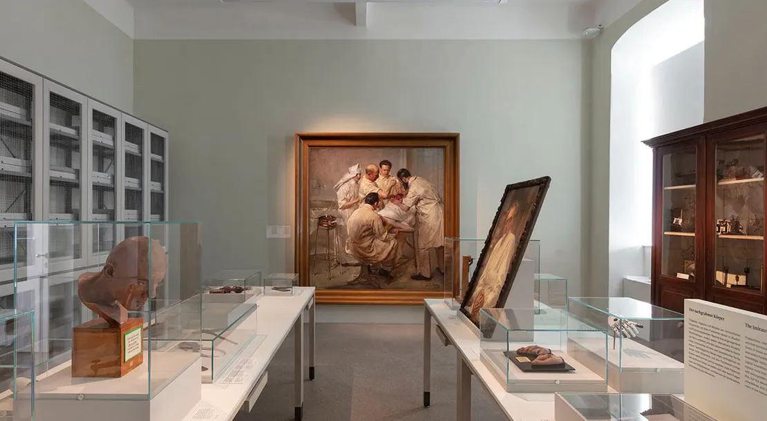 Ausstellungsansicht zum Thema Körperbilder, Foto: Reiner Riedler