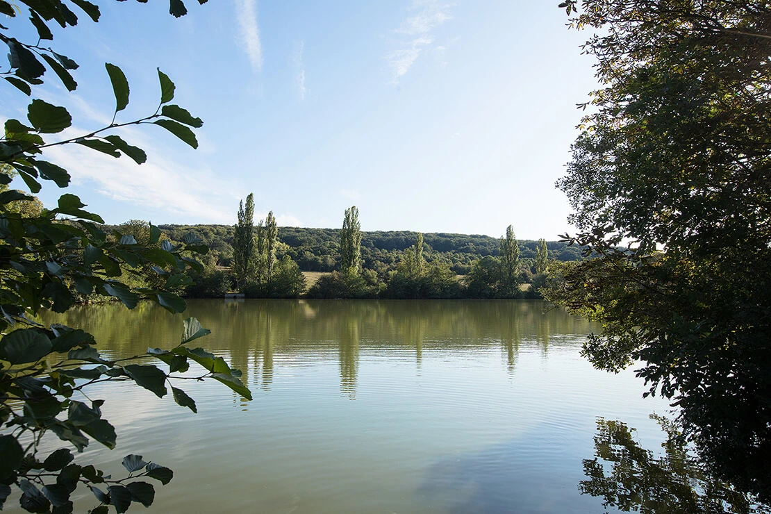 Im Hohenauer Teich nahe der Hermesvilla ging Kaiserin Elisabeth gerne schwimmen, Foto: Lisa Rastl/Wien Museum