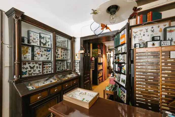 Wiens einziges Fachgeschäft für Insektenkunde