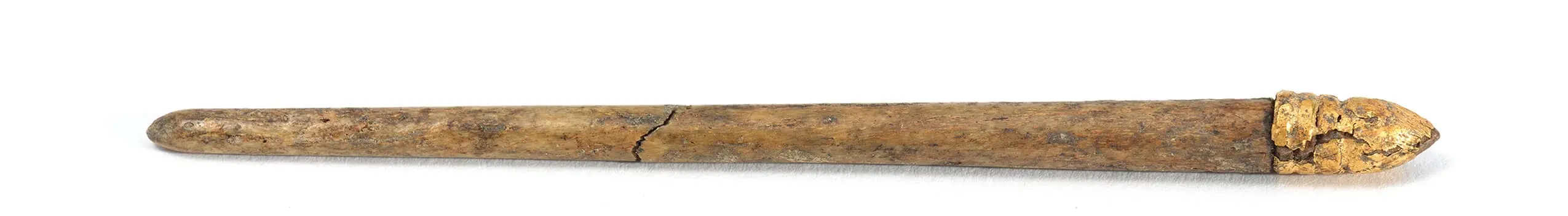 Römische Beinnadel (Kopf mit Goldblechauflage), 2./3. Jh. n. Chr., © Peter und Birgit Kainz/Wien Museum