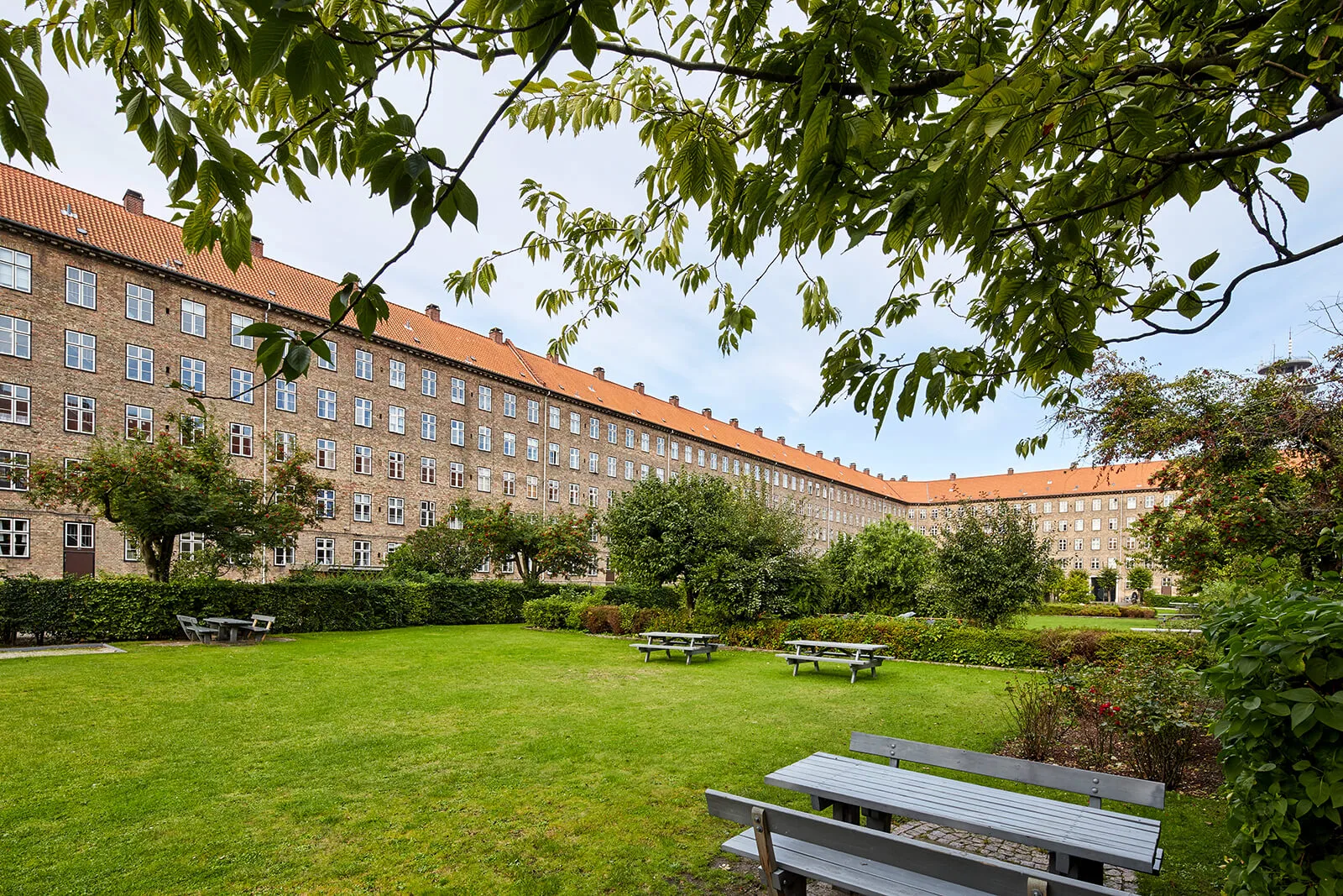 Kopenhagen, Hornbaekhus. „Das sanitäre Grün gehört nicht mitten in den Staub und Lärm der Straßen, sondern in das geschützte Innere großer, ringsherum verbauter Baublöcke.“ Foto: Maximilian Meisse