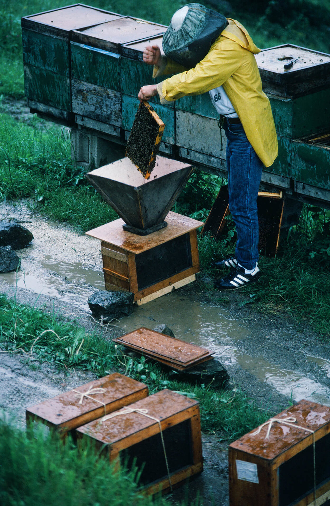 Imker bei der Arbeit, 1989, Foto: Franz Killmeyer 