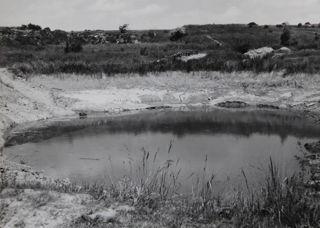 Zustand des Gartenschaugeländes vor Beginn der Bauarbeiten, um 1971. Unbekannter Fotograf, Archiv Christian Hlavac