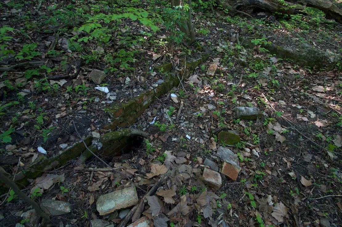 Foto: Thomas Keplinger  