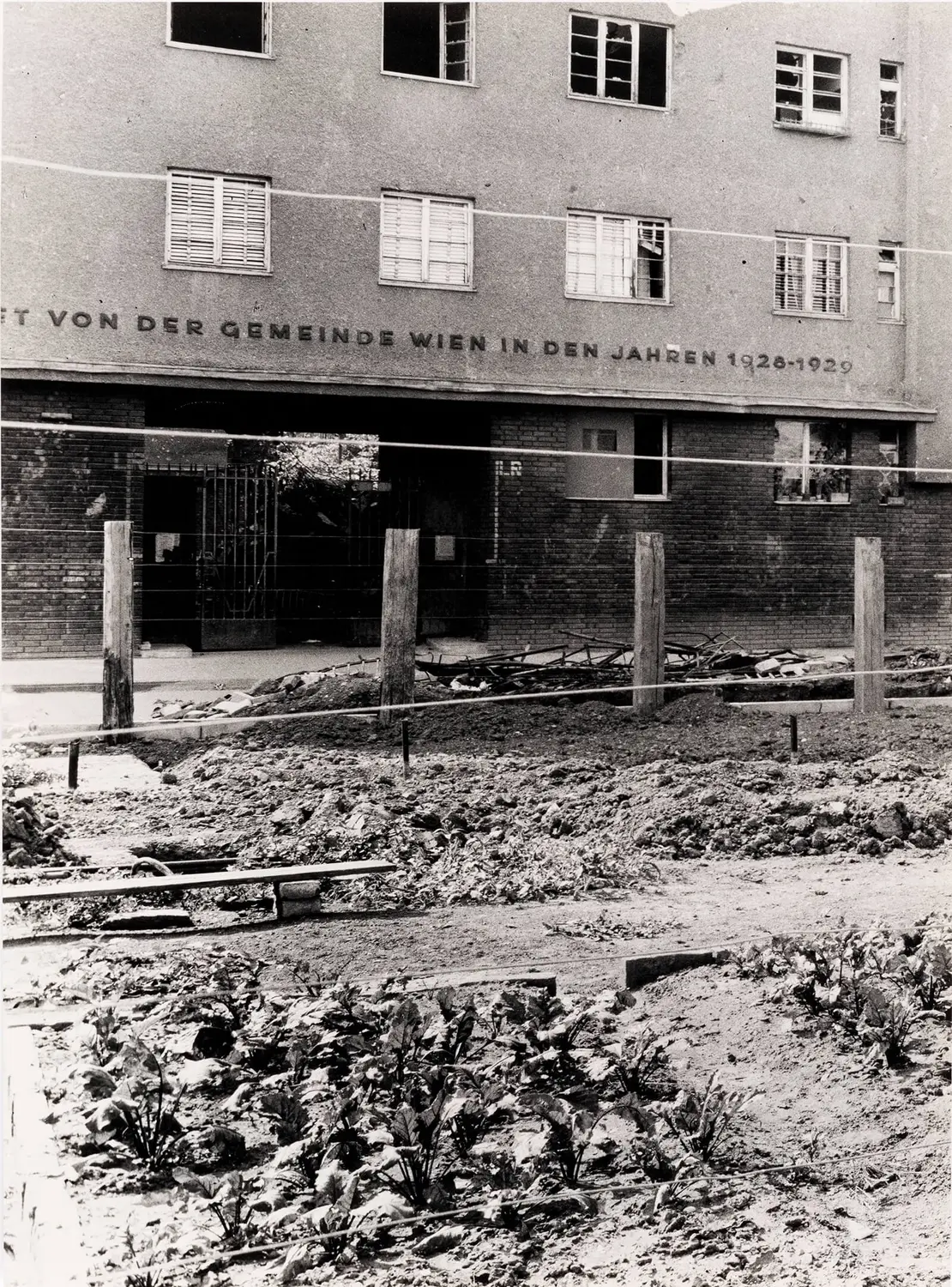 Gemüsebeete vor dem kriegsbeschädigten Franz-Domes-Hof, Margartengürtel 126–134, 1945, anonyme Fotografie, Wien Museum, Inv.-Nr. 224202/2  