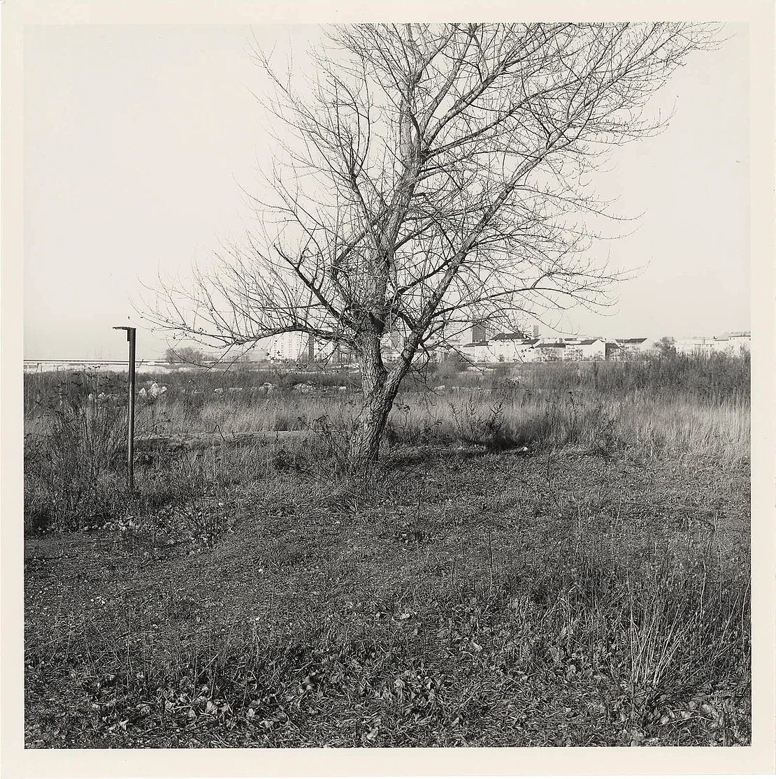 Christoph Scharff: Fotoserie Donauinsel, 1983, Wien Museum  