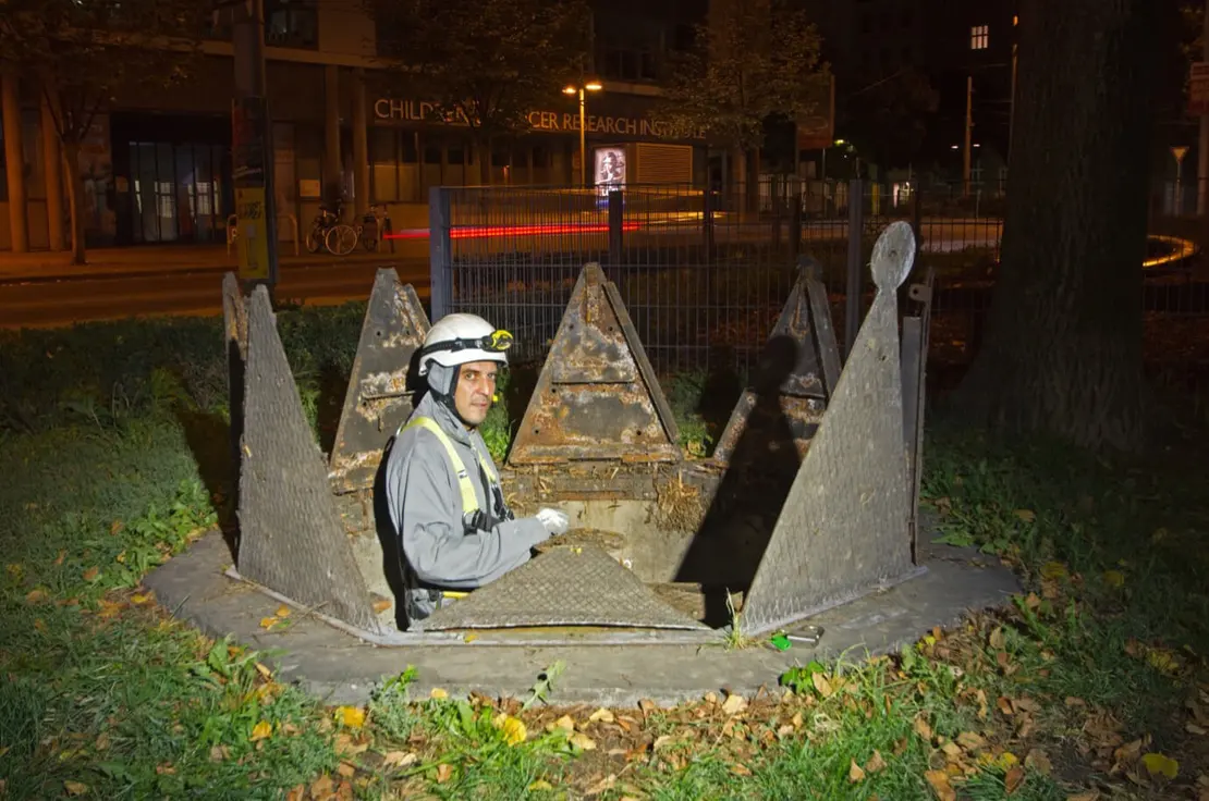 Öffnet sich der Stern, so wird er zur Krone. Foto: Thomas Keplinger