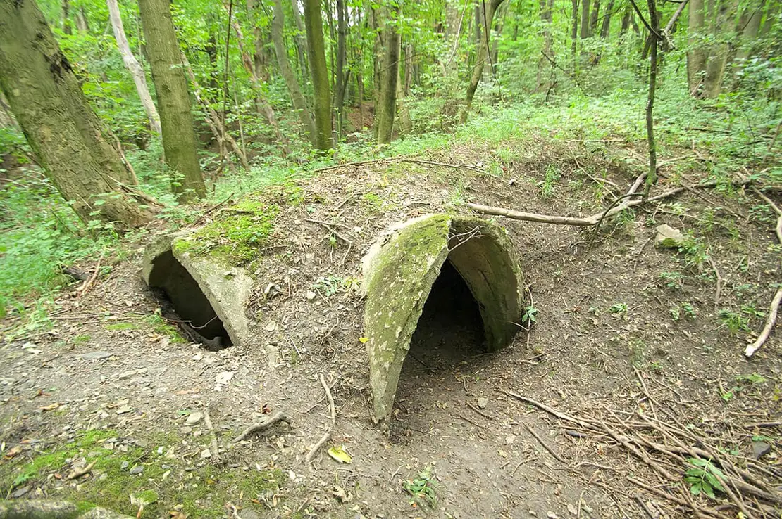 Foto: Thomas Keplinger  