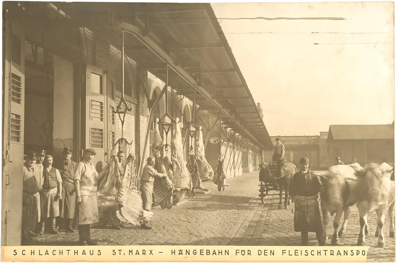 Hängebahn für den Fleischtransport am Schlachthof St. Marx, 3., Viehmarktgasse 5–7, um 1926, anonyme Fotografie, Wien Museum, Inv. Nr. 58129/18