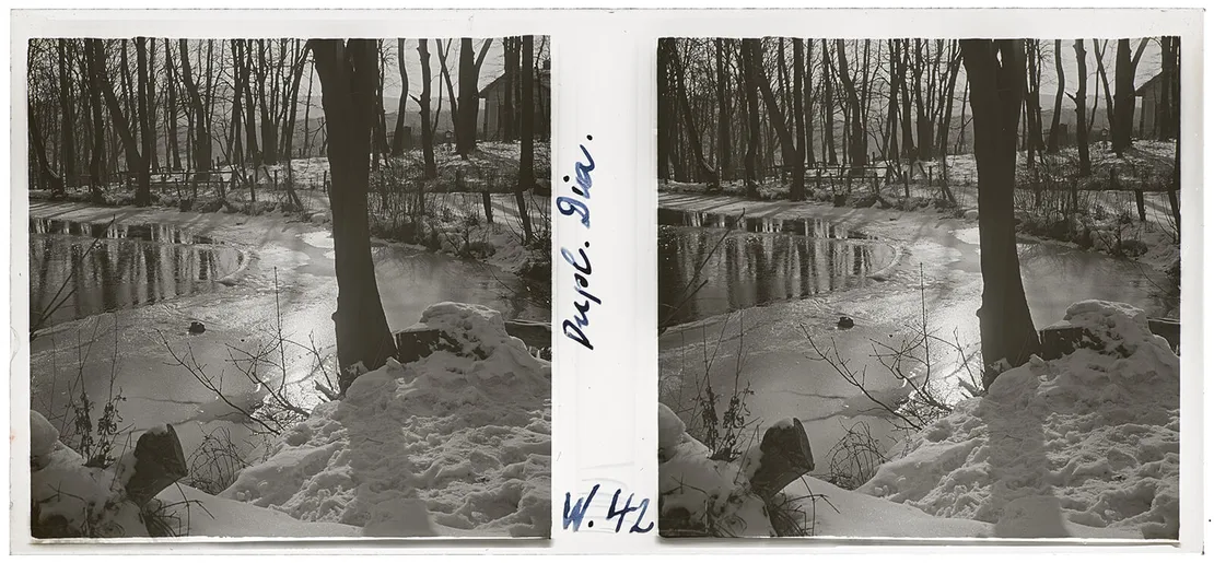 Karl Pollak, Am Teich, Stereopositiv (Glas), 15.01.1931, Pollak-Negativverzeichnis Winteraufnahme 42, Wien Museum, Inv.-Nr. 316542/18/3. Bei der Herstellung eines Stereopositives müssen die Einzelbilder von links nach rechts getauscht werden, was sich an diesem Beispiel (Hütte oben rechts im Bild) gut erkennen lässt.  