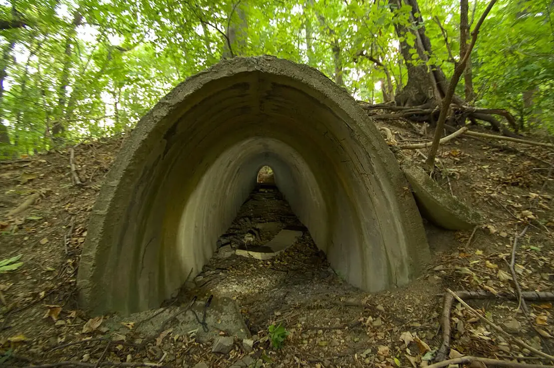 Foto: Thomas Keplinger  