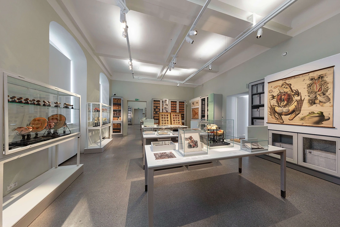 Ausstellungsansicht des Bereichs zum Thema Lehre und Forschung, Foto: Reiner Riedler