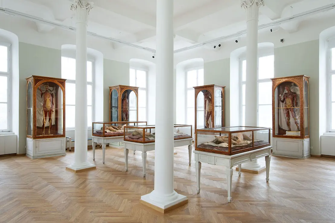 Saal mit Wachsmodellen (liegend in der Vitrine: die Mediceische Venus), Foto: Bene Croy