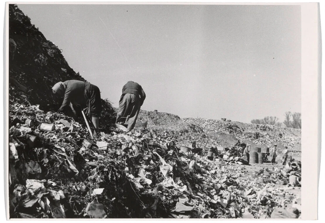 Wiener Mistablagerungsstätte in Bruckhaufen, 1953, Wien Museum