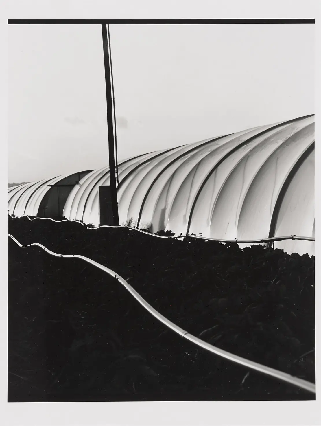 Elfriede Mejchar: Gemüsebunker. Simmeringer Gärtnereien, 1990–1994, Wien Museum © Bildrecht, Wien 2024