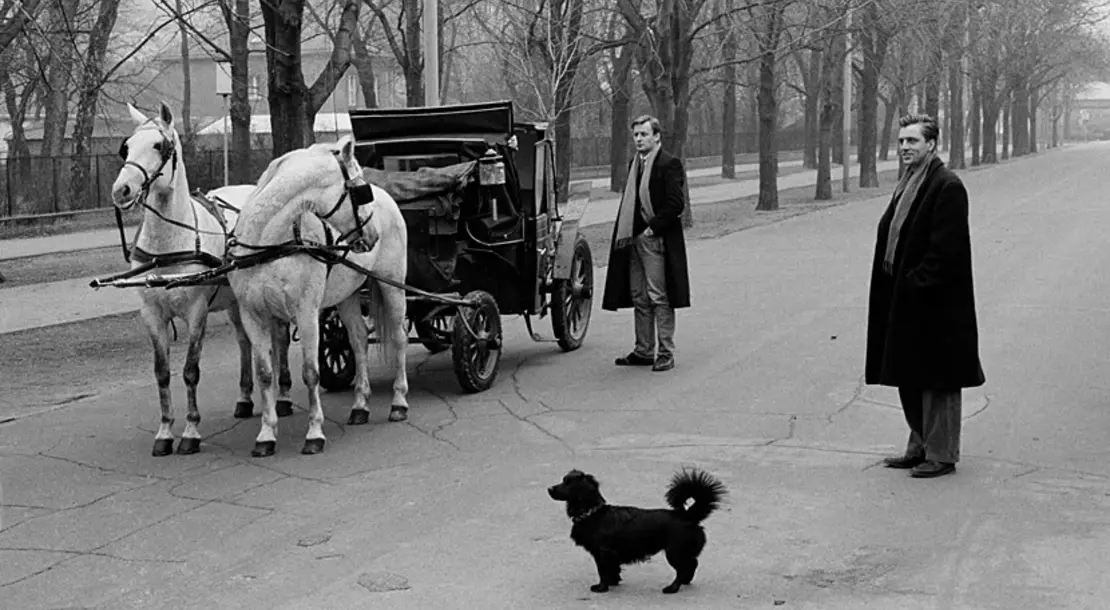Didi Sattmann: Fiakerrennen „Peter Altenberg Gedächtnispreis“ mit Martin Kippenberger und Albert Oehlen, 1984  