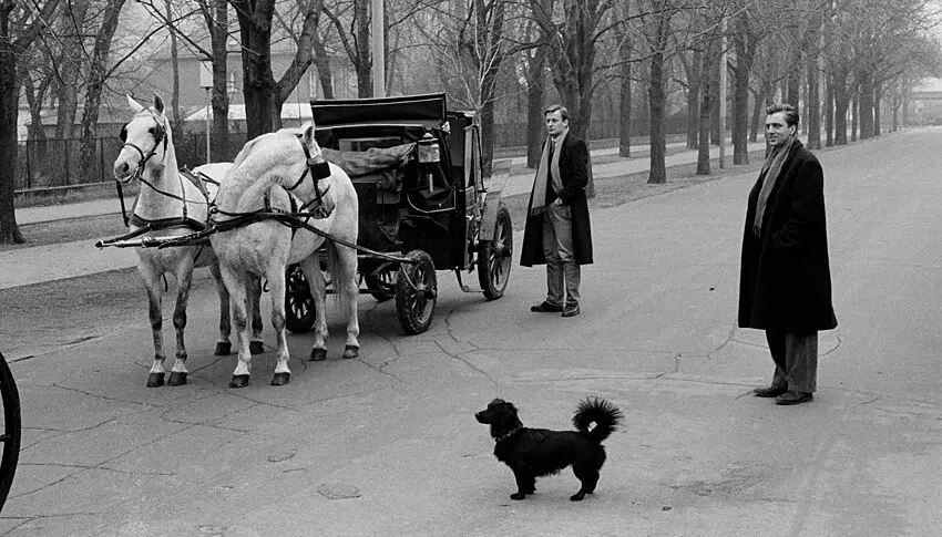 Didi Sattmann: Fiakerrennen „Peter Altenberg Gedächtnispreis“ mit Martin Kippenberger und Albert Oehlen, 1984