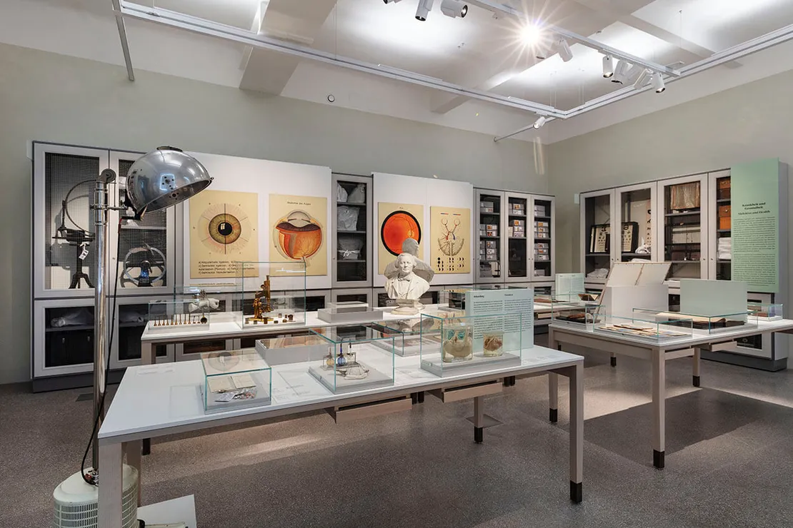 Ausstellungsansicht zum Thema Krankheit und Gesundheit, Foto: Reiner Riedler