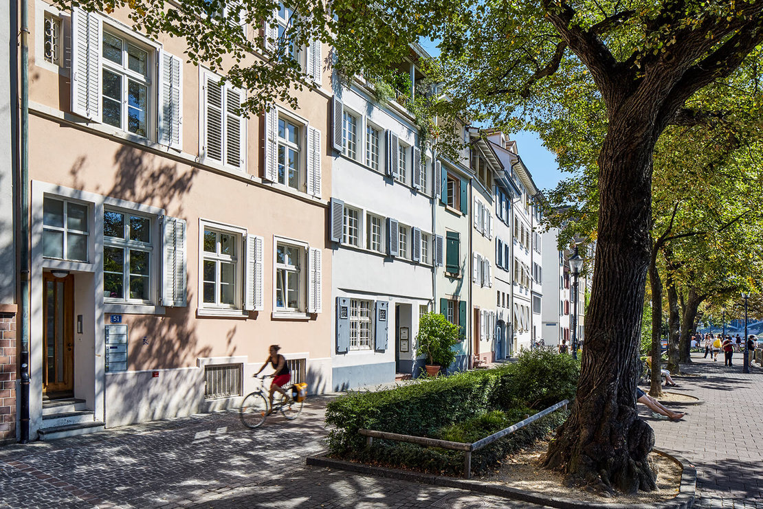 Basel, Oberer Rheinweg: Große Bäume spenden nicht nur Schatten und binden CO2, sondern schaffen auch charakteristische Orte in der Stadt. Foto: Maximilian Meisse 