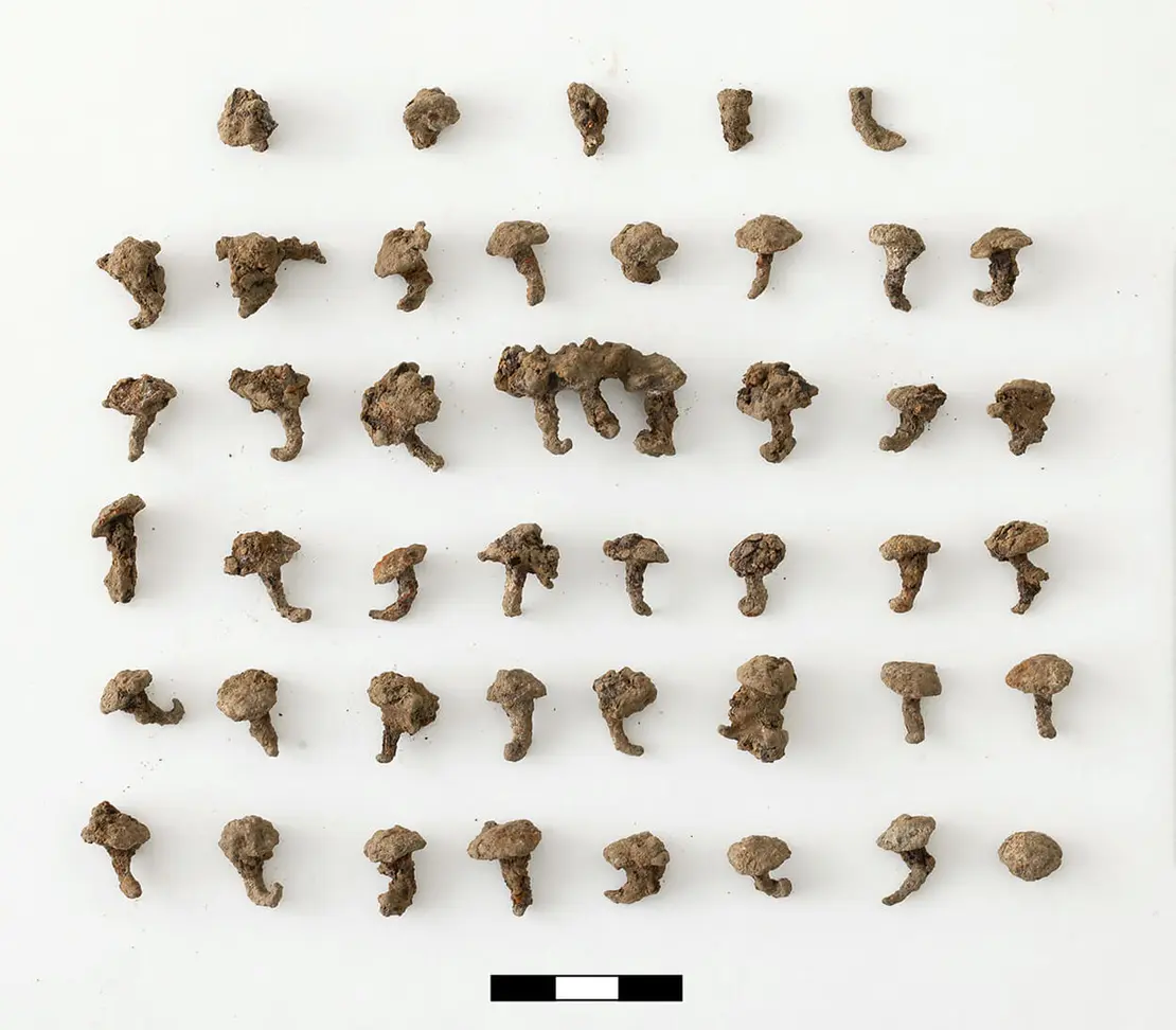 Im Grab gefundene Schuhnägel, Foto: L. Hilzensauer