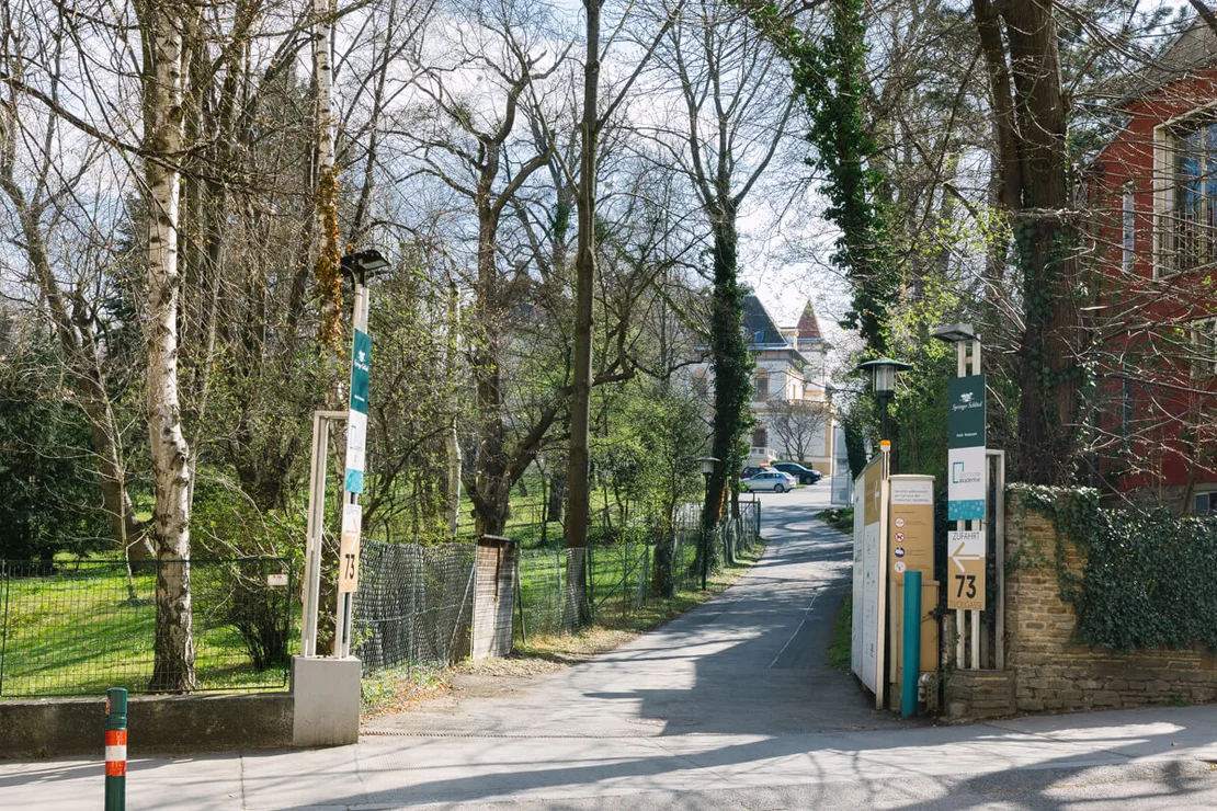 Weg in Richtung Springer-Schlössl, Foto: Elodie Grethen  