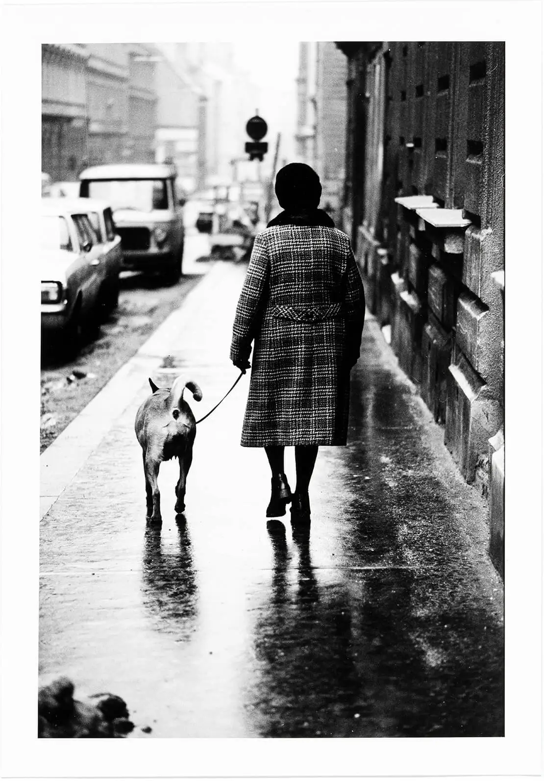 Gerhard Trumler: In der Neustiftgasse, 1979, Wien Museum  