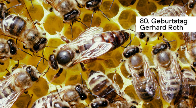 Gerhard Roth über Bienen