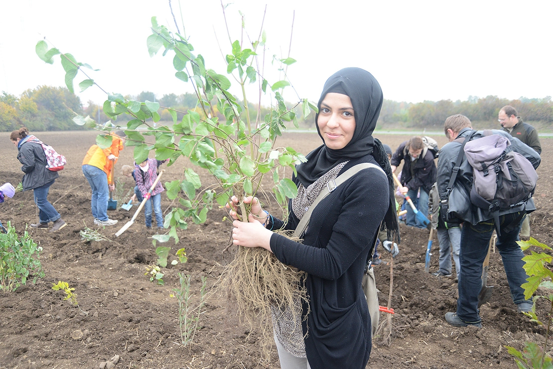Didi Sattmann: 23. Bezirk, Vorarlbergerallee / Aufforstungsaktion „Wald der jungen WienerInnen“, 2012