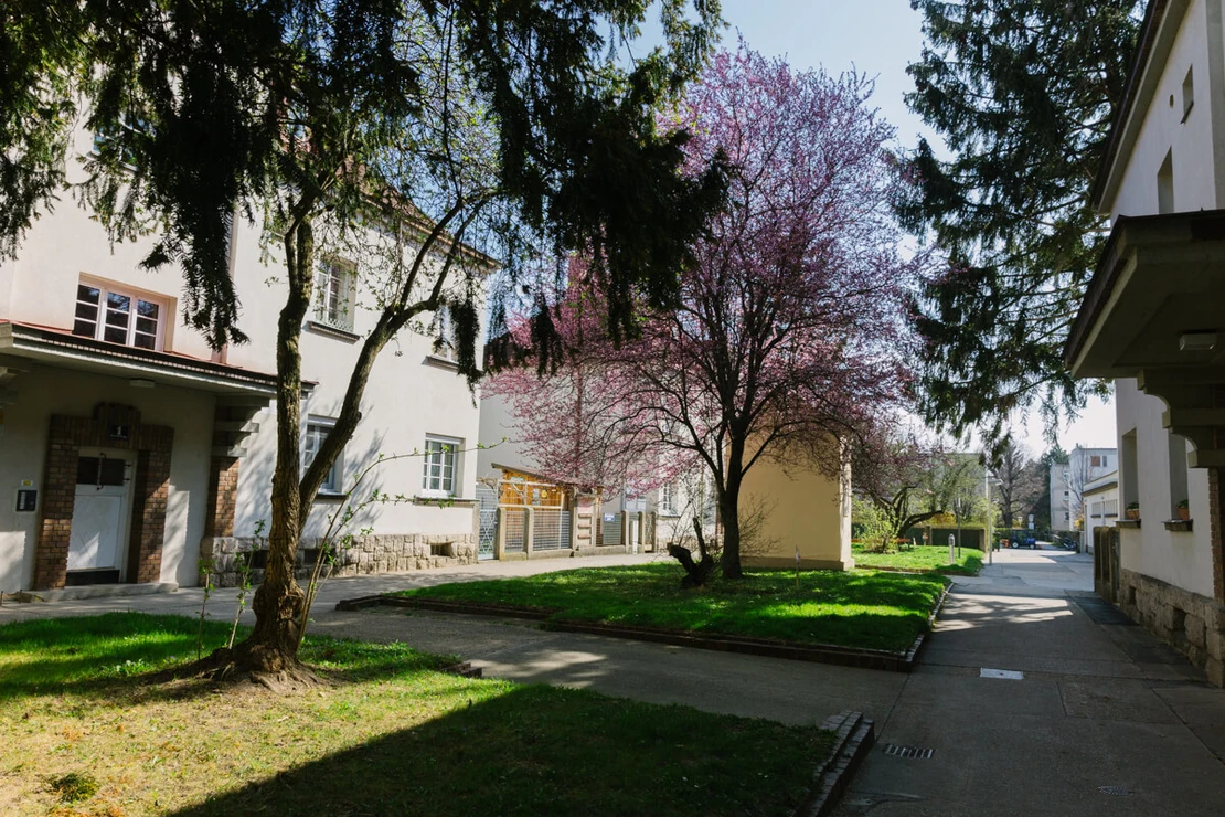 Blick in Richtung Moldauer Kreuz, Foto: Elodie Grethen  
