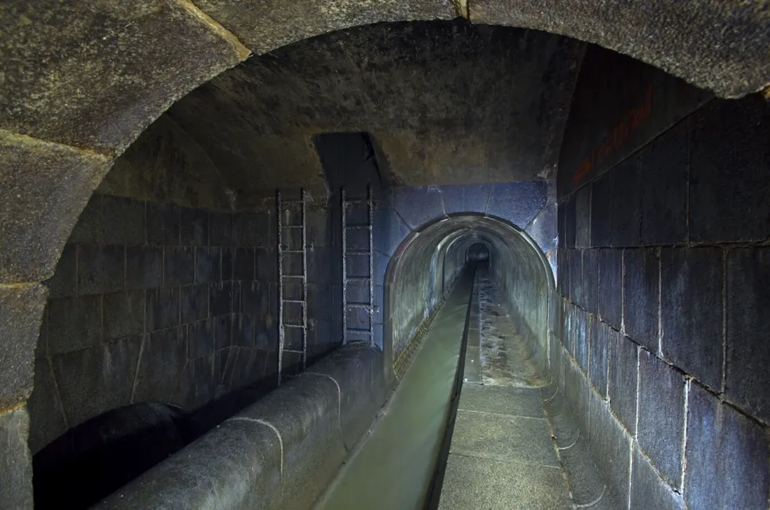 Hier überquert das 1910 fertiggestellte Gewölbe des Währinger Bachs dessen altes Gerinne. Foto: Thomas Keplinger