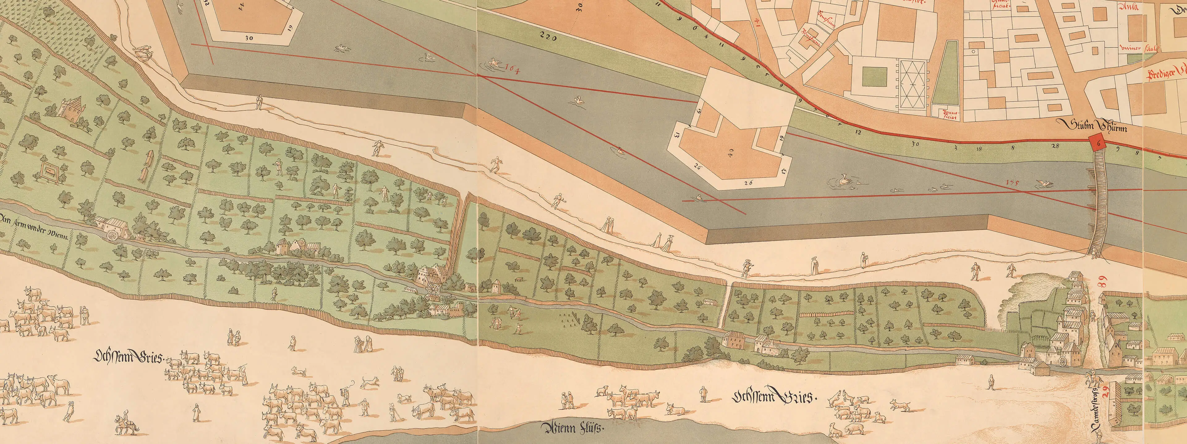 Außerhalb der Stadtmauern – am Ochsengrieß – sind am Stadtplan von 1547 Rinderherden zu sehen, die in die Stadt getrieben werden. Ausschnitt aus: Bonifaz Wolmut, Albert von Camesina, Plan von Wien 1547, Reproduktion, 1857–1858, Wien Museum, Inv. Nr. 30641/1