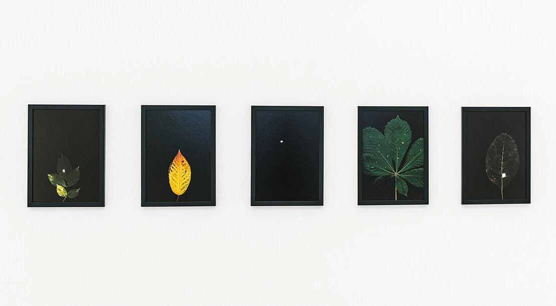 Rosa John, Sonnenwende, Startgalerie, Ausstellungsansicht, 2021, Foto: Theresa Wey  
