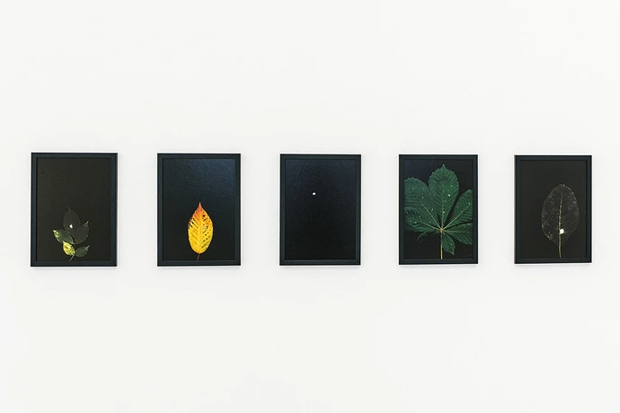 Rosa John, Sonnenwende, Startgalerie, Ausstellungsansicht, 2021, Foto: Theresa Wey