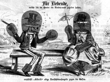 Gelsen, Tigermücken und Co