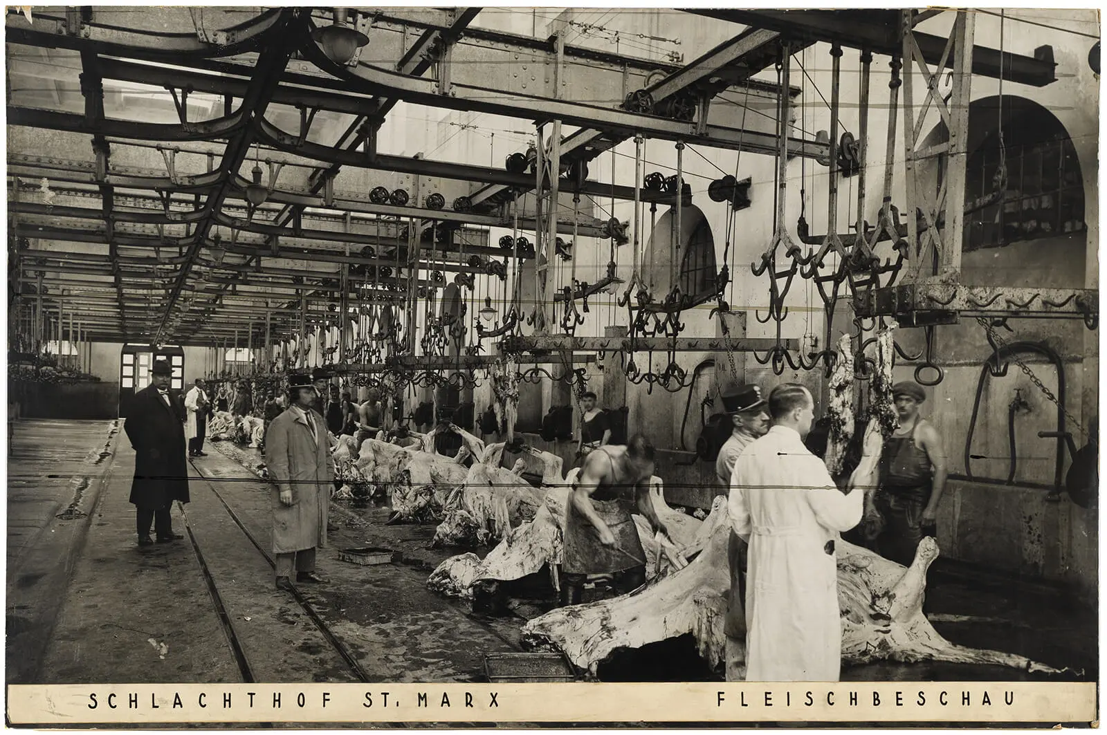 Schlachthof St. Marx, Innenansicht - Fleischbeschau, um 1926, Wien Museum