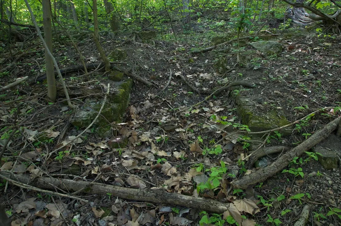 Foto: Thomas Keplinger  