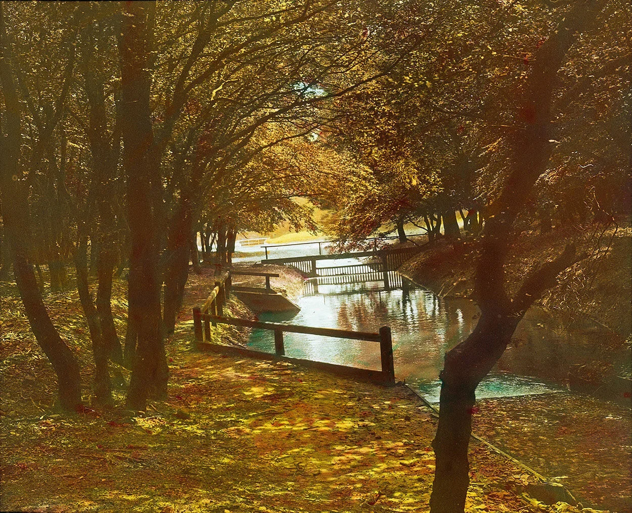 Der Rotwassergraben im Lainzer Tiergarten. Handkoloriertes Glasdiapositiv, um 1905, Österreichisches Volkshochschularchiv / Imagno / picturedesk.com