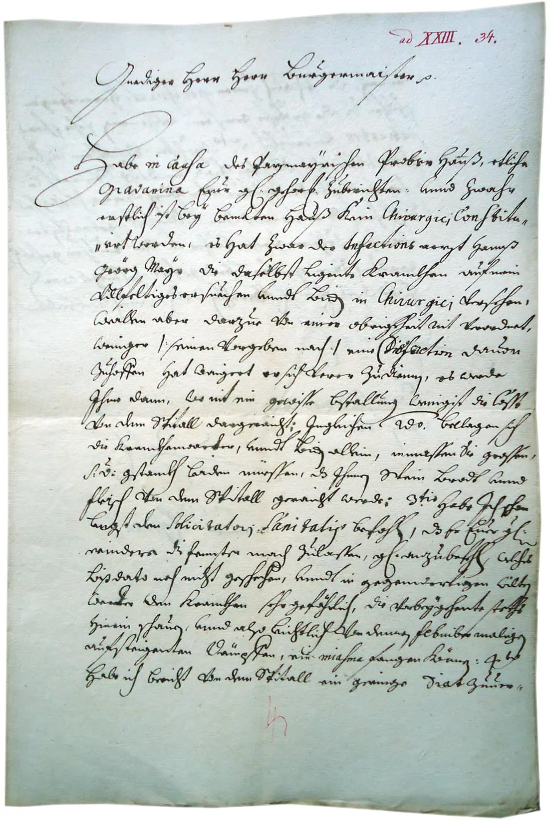Abschrift des Schreibens des Arztes Rostmann an den Wiener Bürgermeister Liebenberg vom 1. Juli 1680 (Wiener Stadt- und Landesarchiv, Bürgerspital, A1: XXIII/34)  