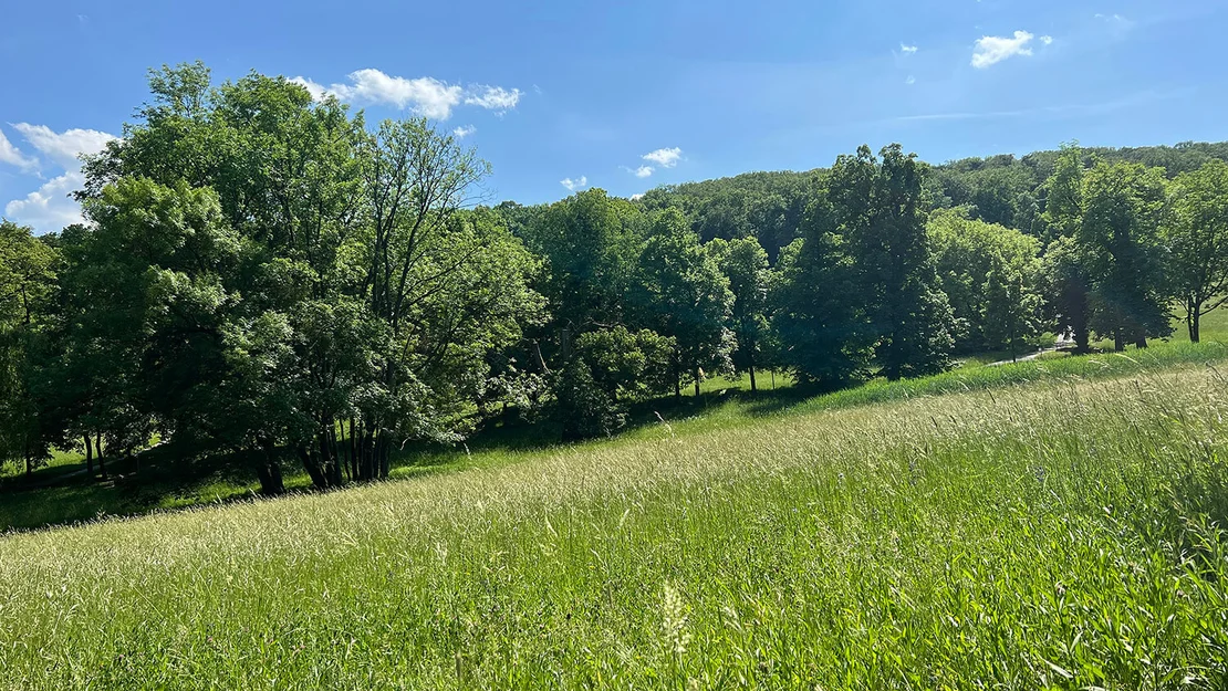 Pötzleinsdorfer Schlosspark, Foto: Anna Attems