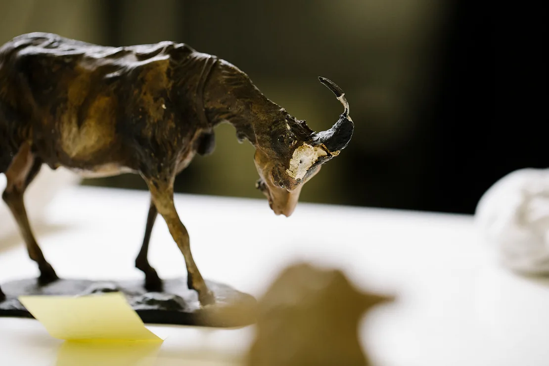 Ziege, Foto: Ina Aydogan, Wien Museum, 2025