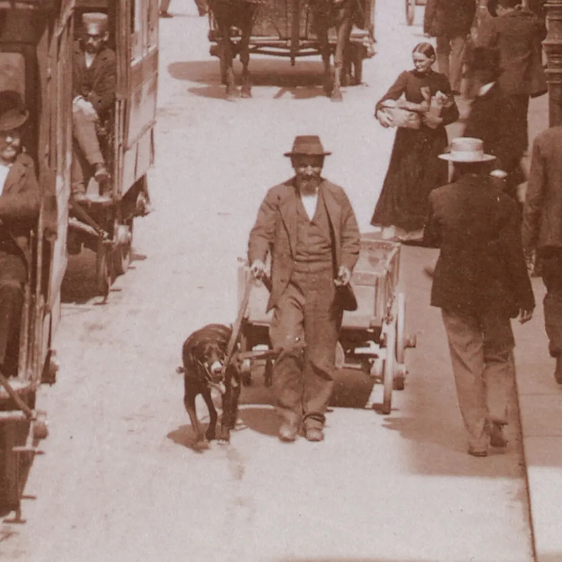 Josef Löwy: Kärntnerstraße, Ausschnitt zeigt ein Hundefuhrwerk, um 1900, Fotografie, Wien Museum, Inv.-Nr. 315463/15  