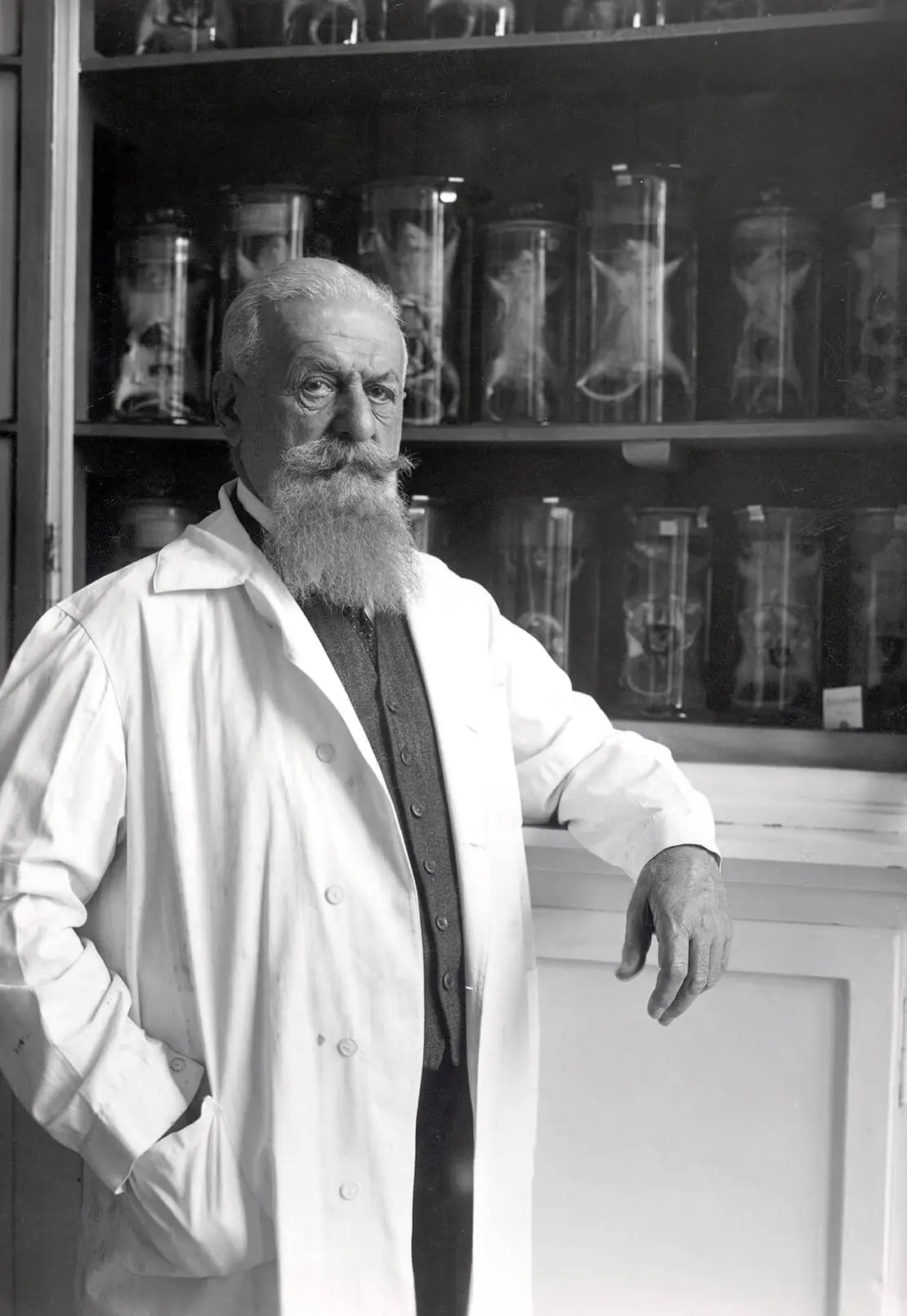 Der Sexualforscher Eugen Steinach, um 1940, Austrian Archives / brandstaetter images / picturedesk.com