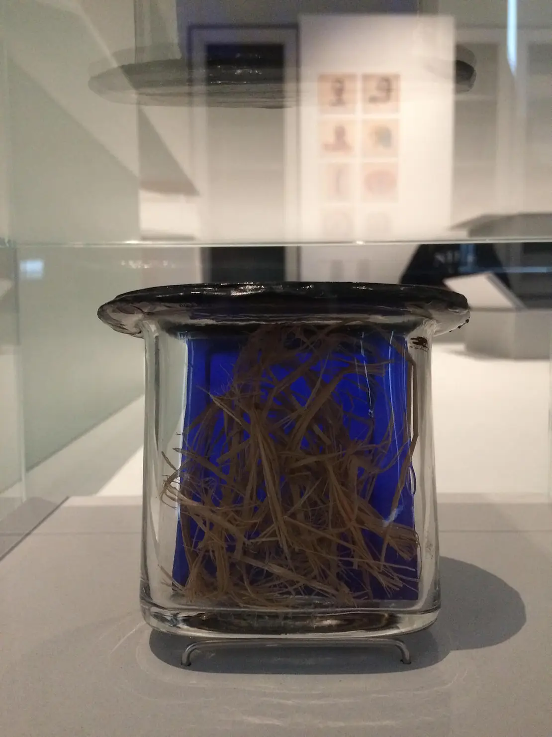 Mageninhalt: Stroh, 1945. Foto: P. Stuiber